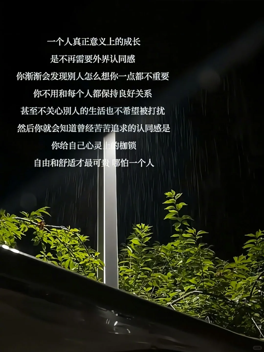 你会因为她长得漂亮 性格开朗明媚 眼睛亮晶晶的 各种各样的理由喜欢上她...