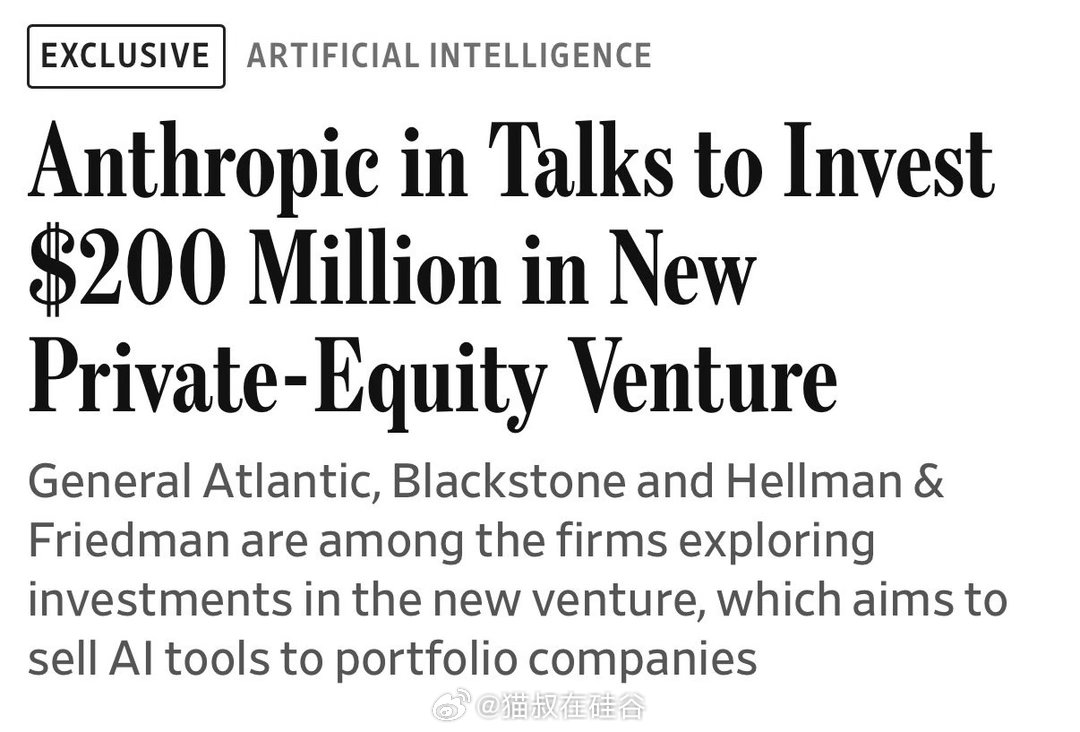 Anthropic 正在与多家顶级私募股权巨头谈判，成立一个类似 Palanti