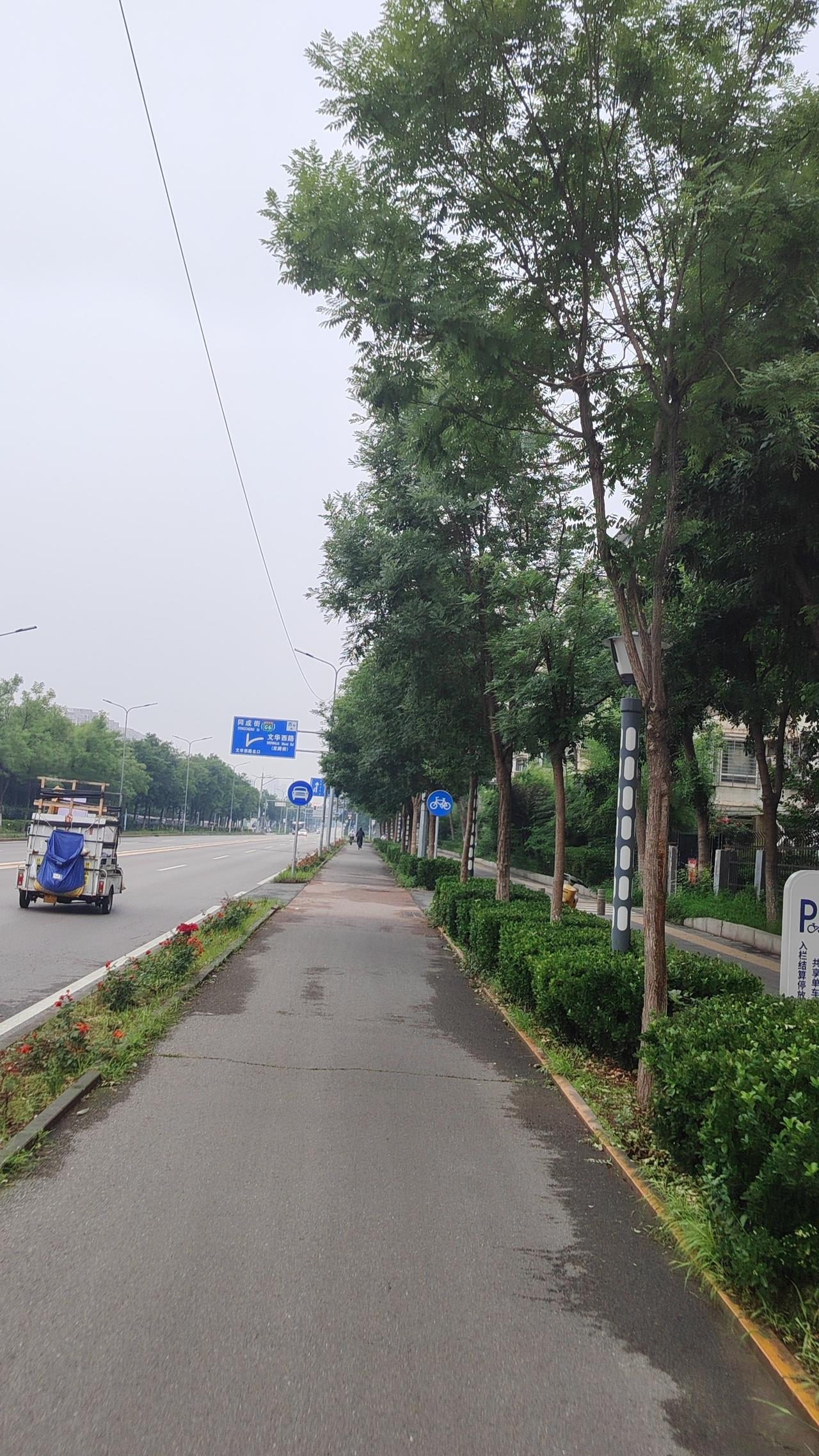 破障前行：心中无障，路自宽广。不惧未来，因你本自具足。禅语：本来无一物，何处惹尘