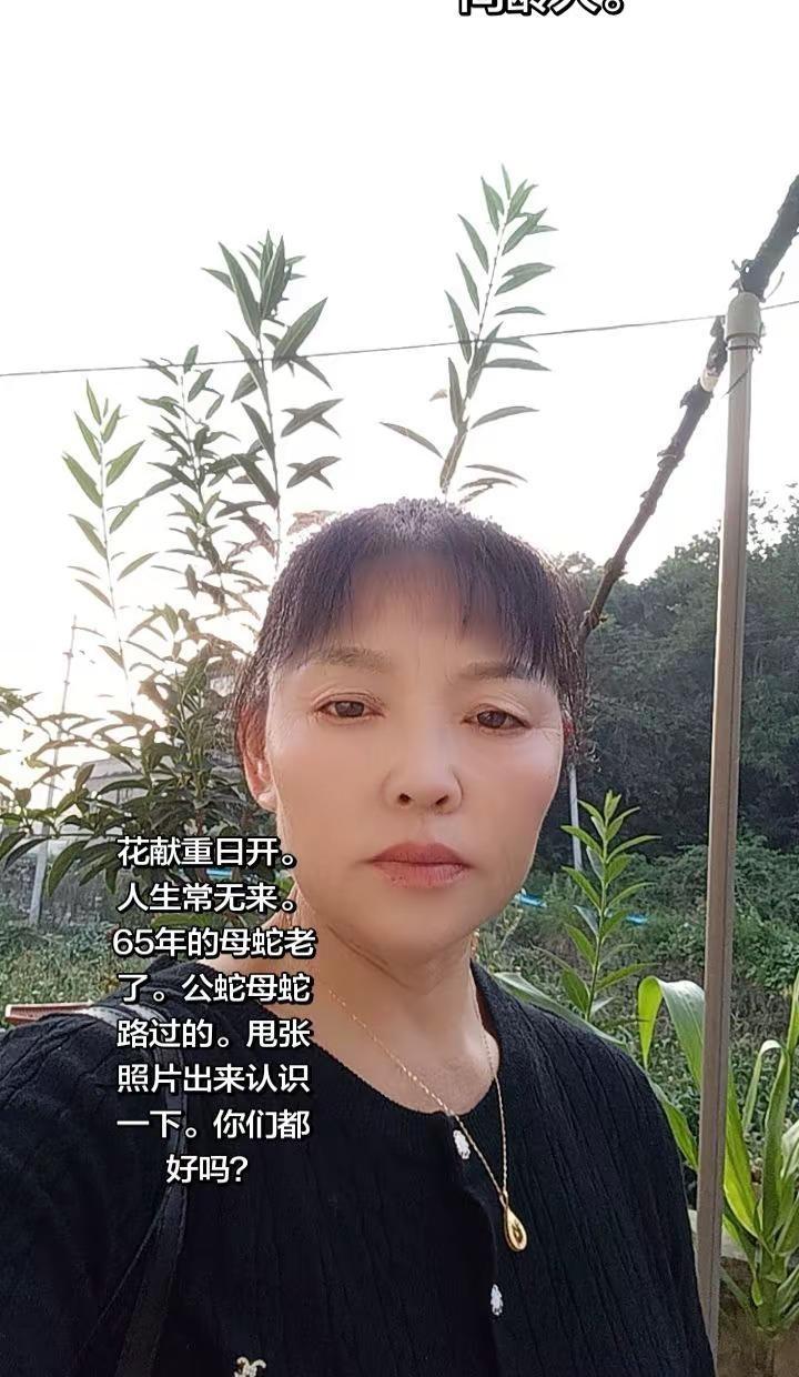 转眼半年就这样过去了。在这疲惫又无能为力的日子里。唯一的盼头。就是不管后面的日子