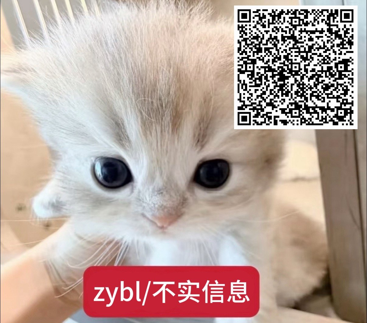 非常恶劣必须做 ​​​
