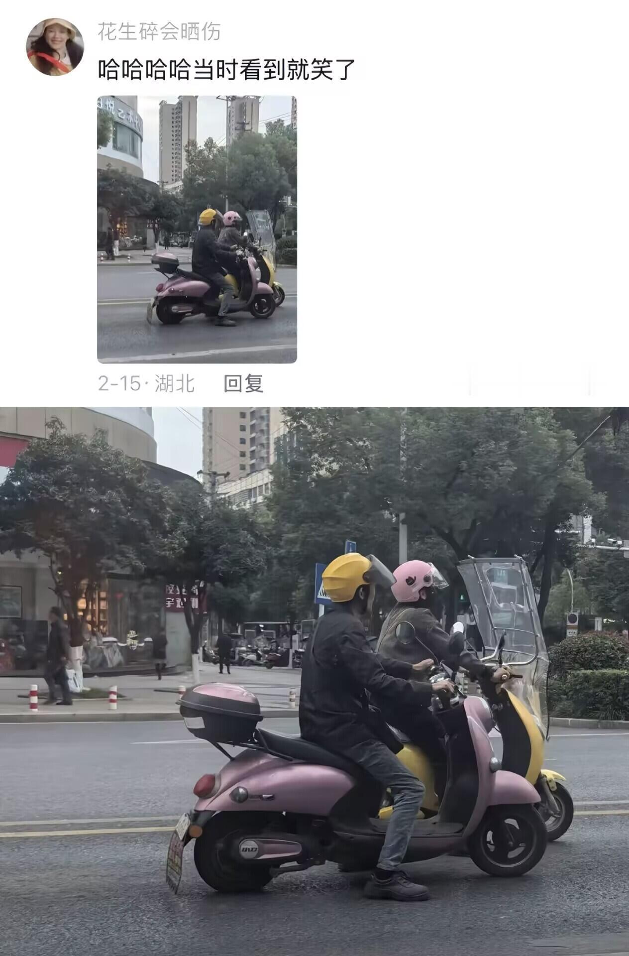 人类有时候真的很莫名其妙哈哈哈哈 