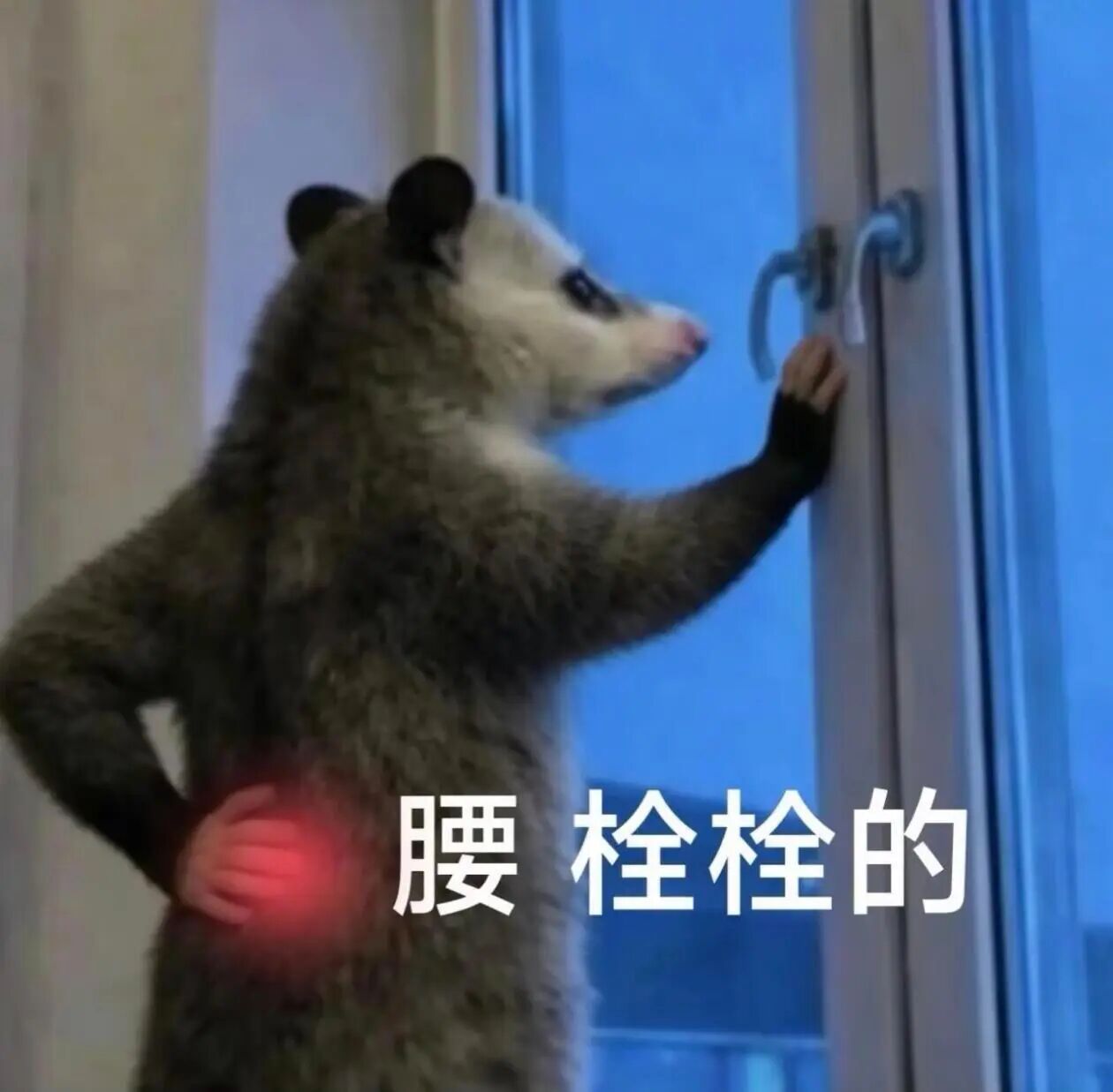 早早早☕️