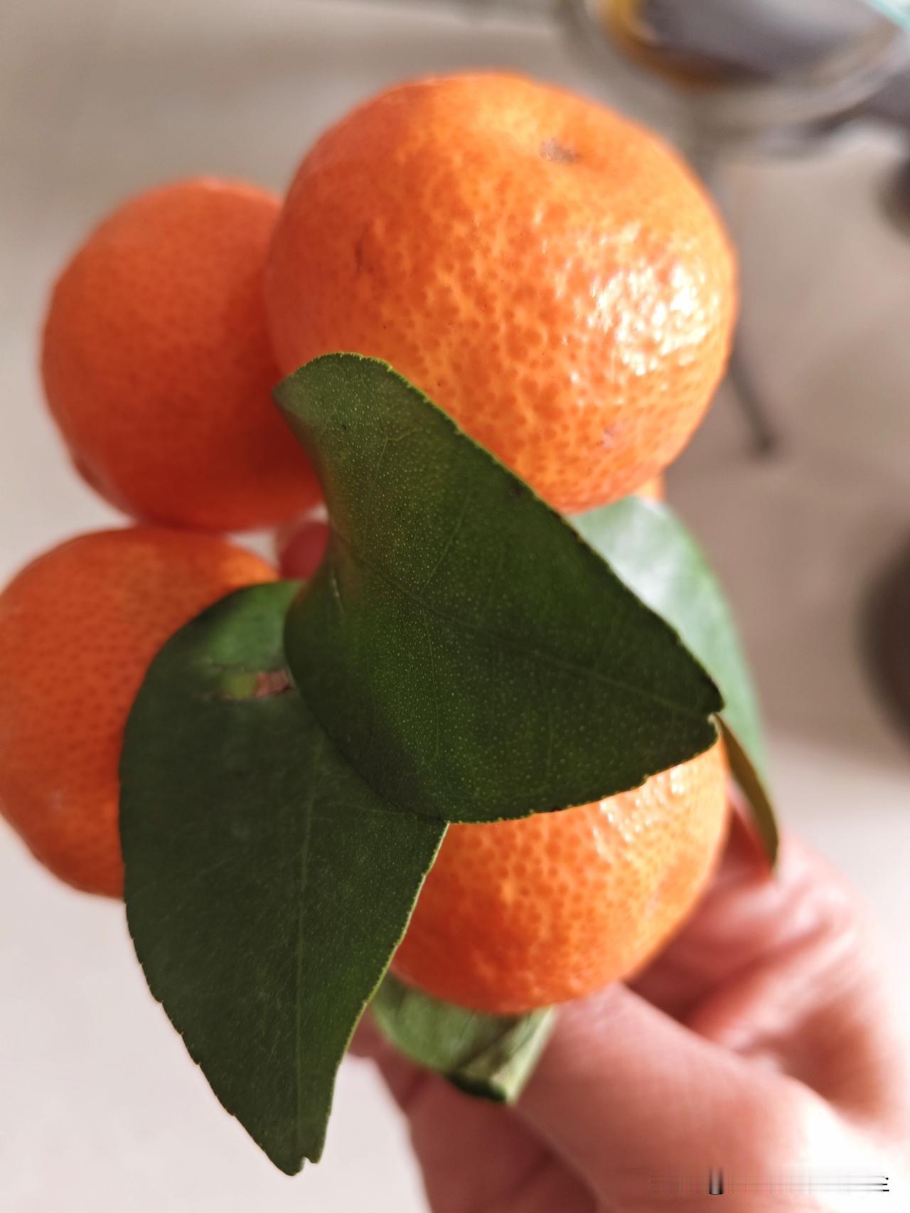 奇怪的标签
吃了早饭，我步行去上班。途经一所实验小学的校门口。

正在扫地的环卫