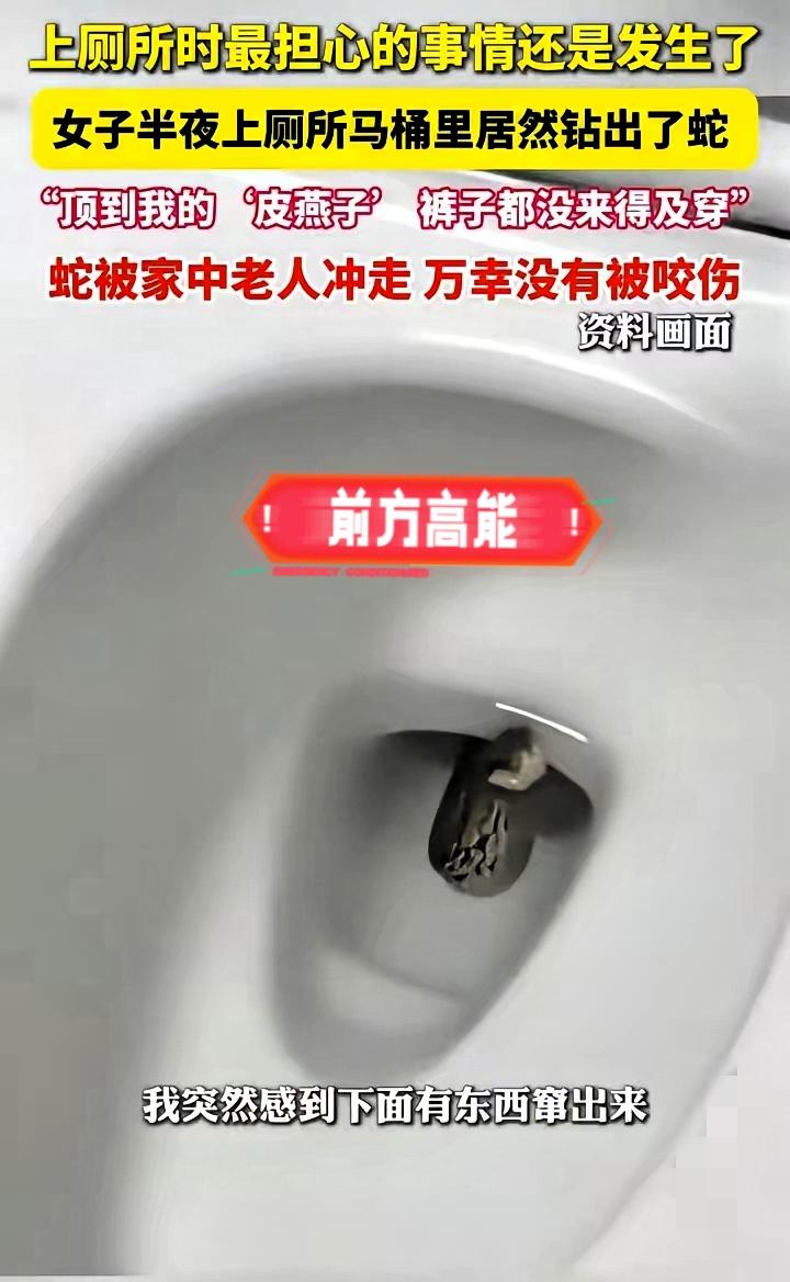 惊魂！马桶竟钻出蛇
“吓坏了！”江苏的周女士遭遇了一场令人毛骨悚然的意外。上厕所