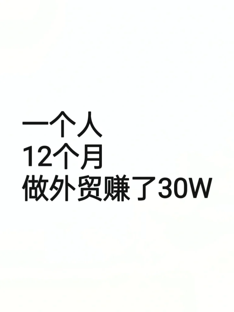 一个人，12个月，做外贸赚了30W