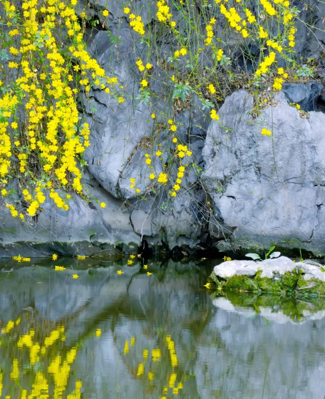 天南地北大拜年