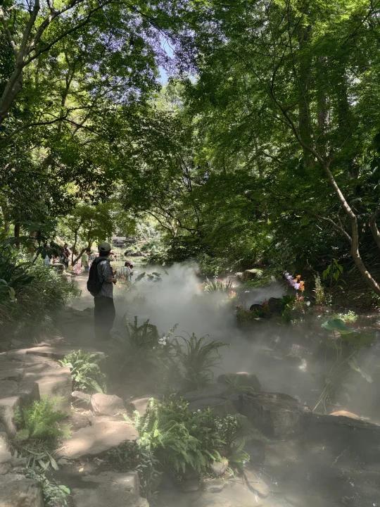 误闯天家，虎丘山养鹤涧美疯了‼️