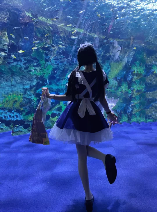 蓝色幻想🫧🪼