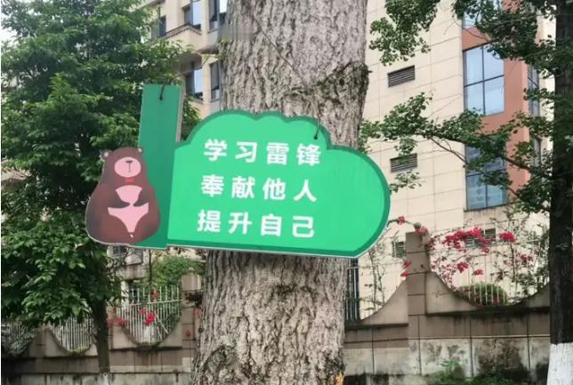 等等，等等，你确定不是在开玩笑吗？[what][what]