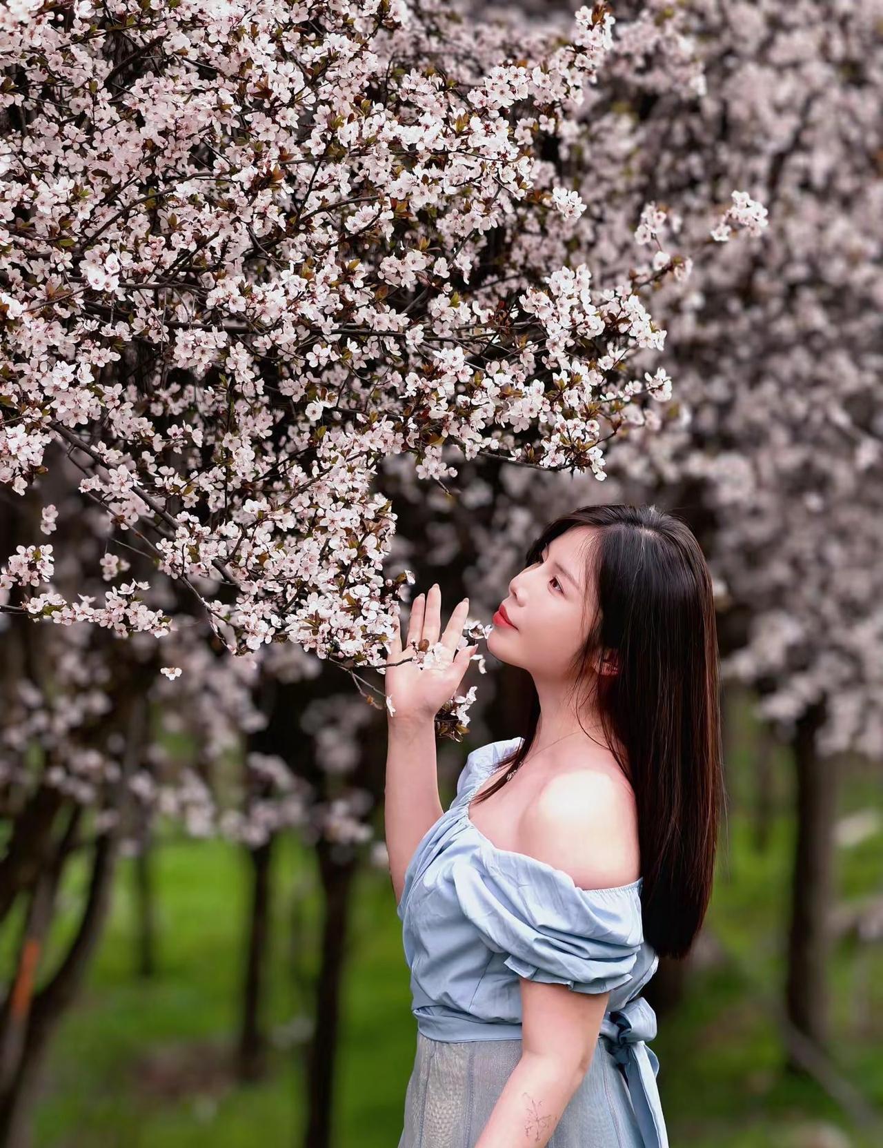 樱花🌸。西安的天气昨天艳阳高照今天穿羽绒服，一天感受四季天气春天一定要和樱花合