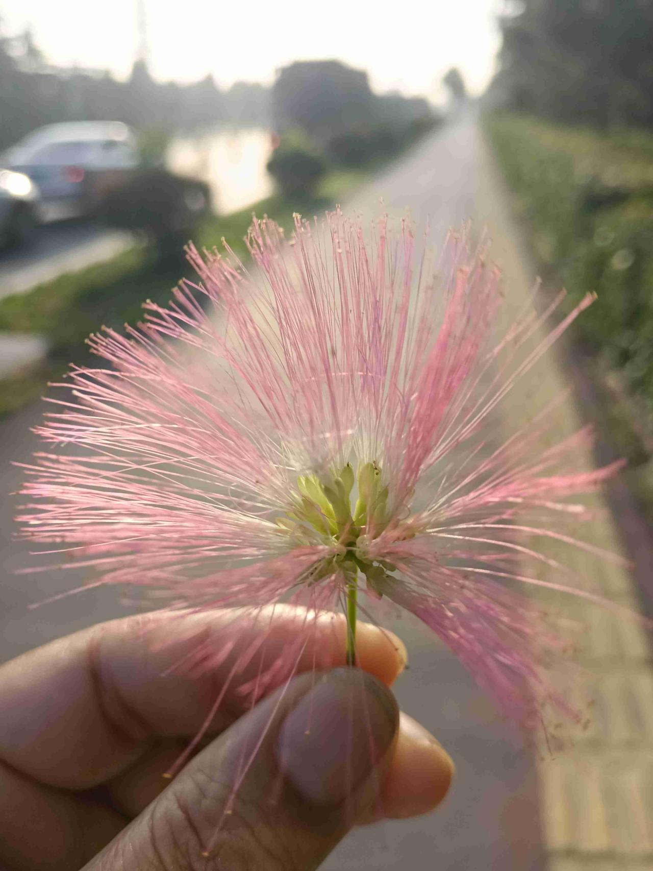 我的今日状态：💰期待暴富
我这里的天气：☀️晴天