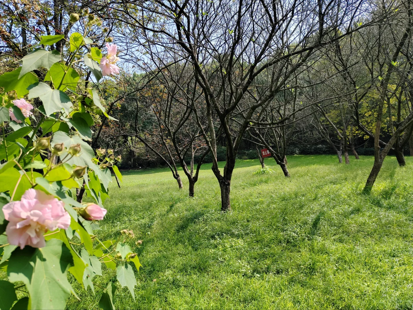 两个老年人的午餐