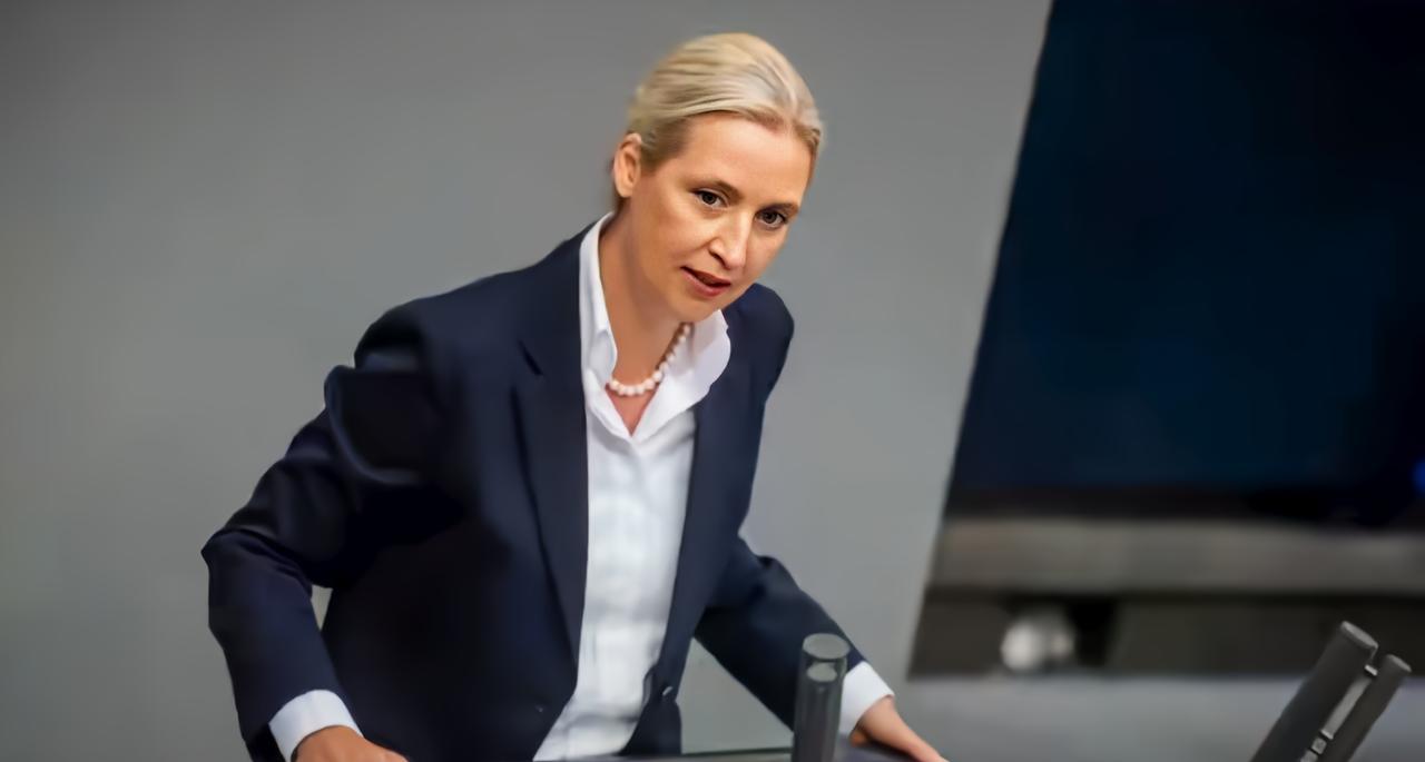 德国曾经稳坐工业强国的宝座，不过现在的情况似乎有些变化。魏德尔演讲时问“当今德国