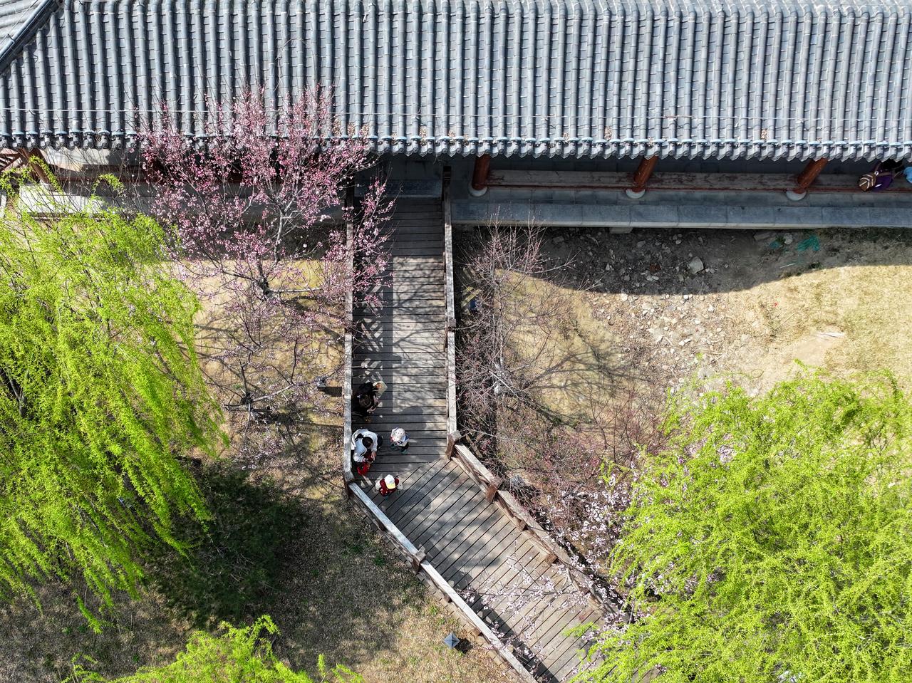 3月30日，位于济南市天桥区药山脚下的洋涓湖公园春意正浓。园内花木葱茏，不少市民