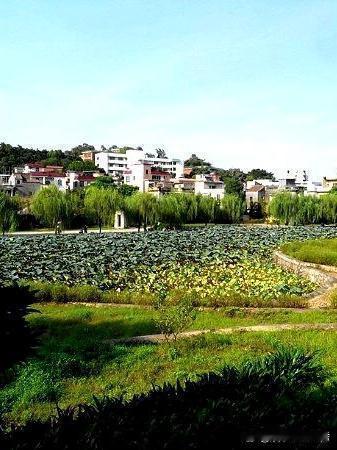 沙湾公园｜绿荫环绕的都市秘境🌿

被本地人私藏的宝藏公园，没想到藏在市中心却如