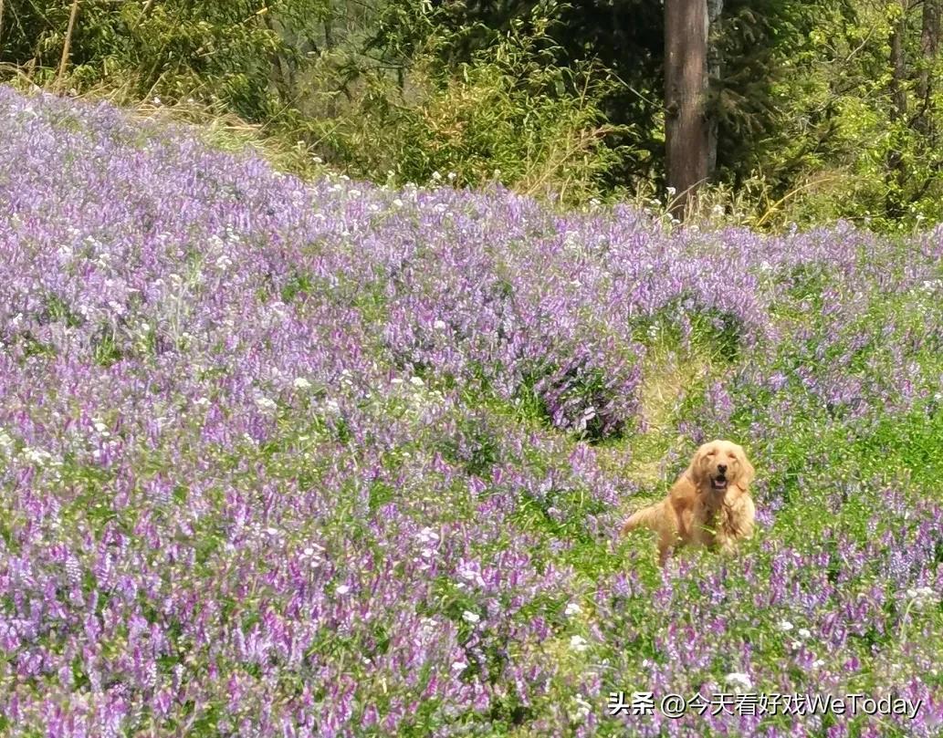 #手机随拍，随手拍的风景照#
