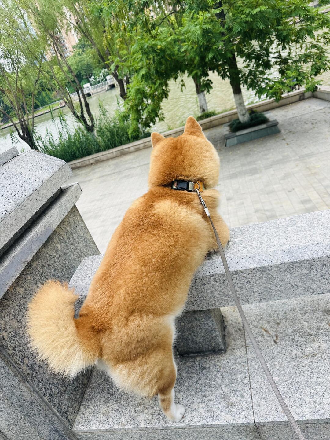看看下面有没有小伙伴