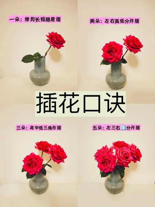 🌸万能插花口诀｜小白秒变大神
