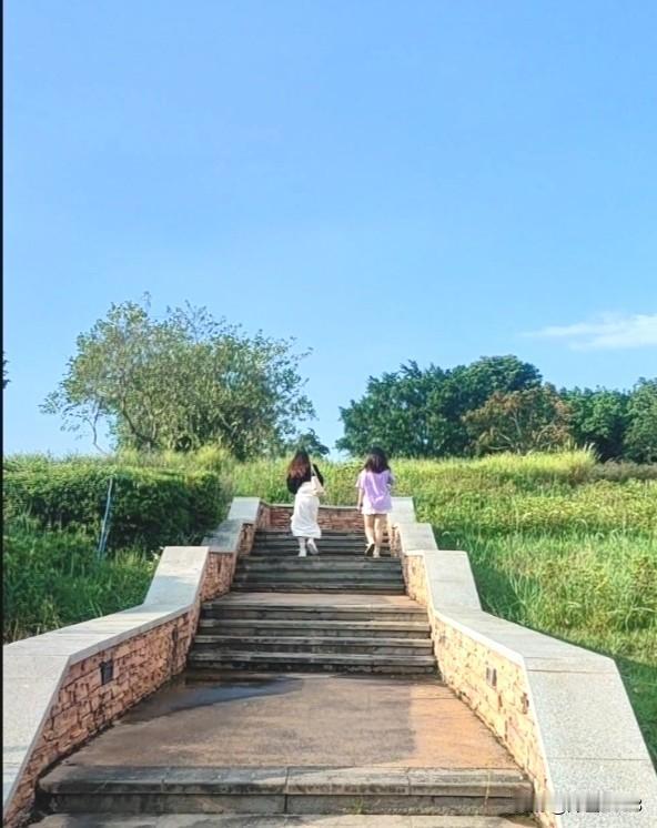 广州白云湖公园(免费开放)
地址:
广州市白云区白云湖大道1号
交通: (仅供参