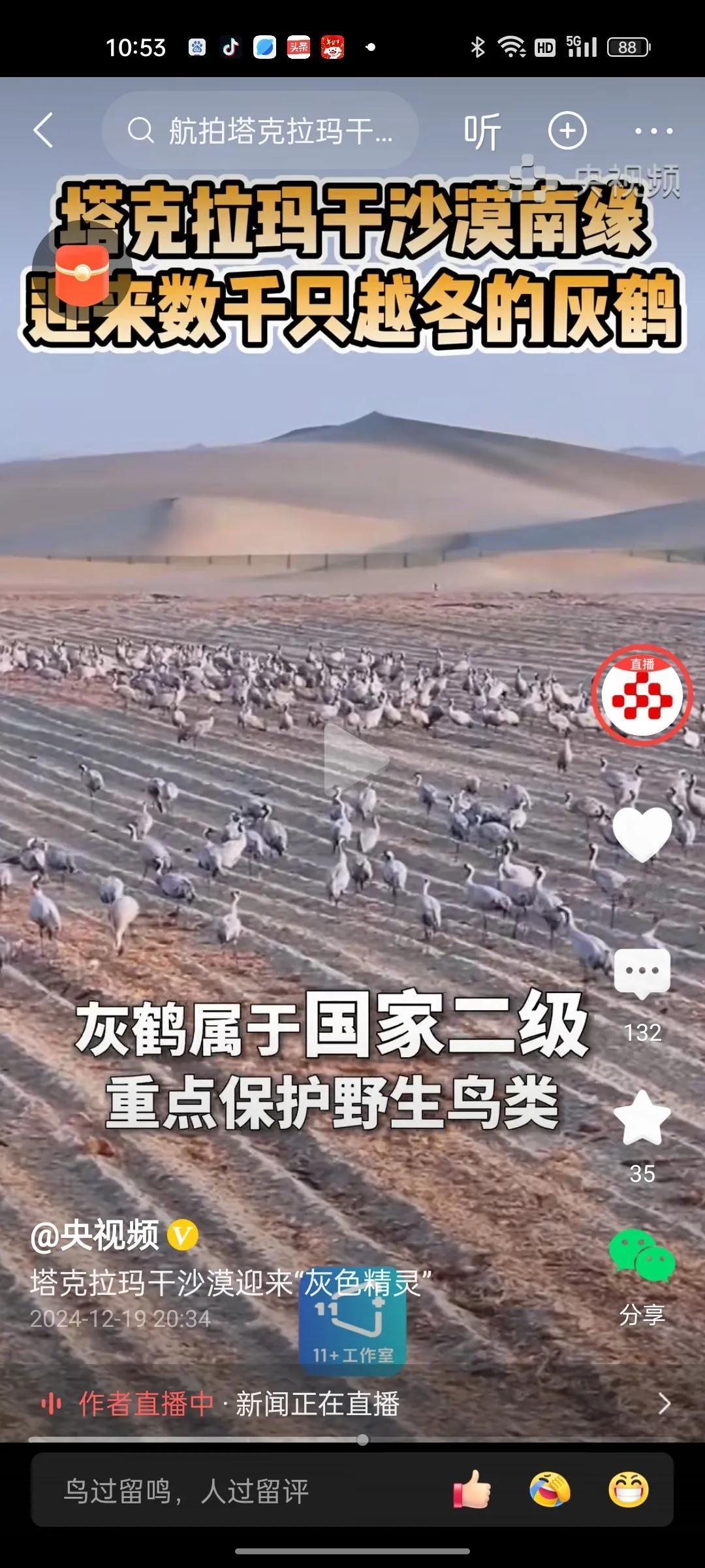 塔克拉玛干沙漠迎来灰鹤来此栖息！
生态环境得到了灰鹤的认可，几十年的治沙成效显现