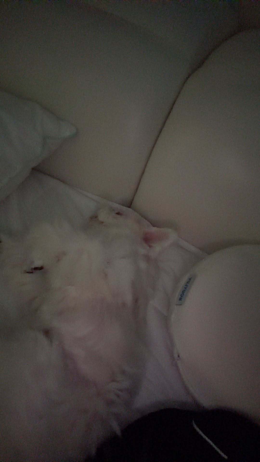 “CB百蓝_。260219利特 ins story更新： 