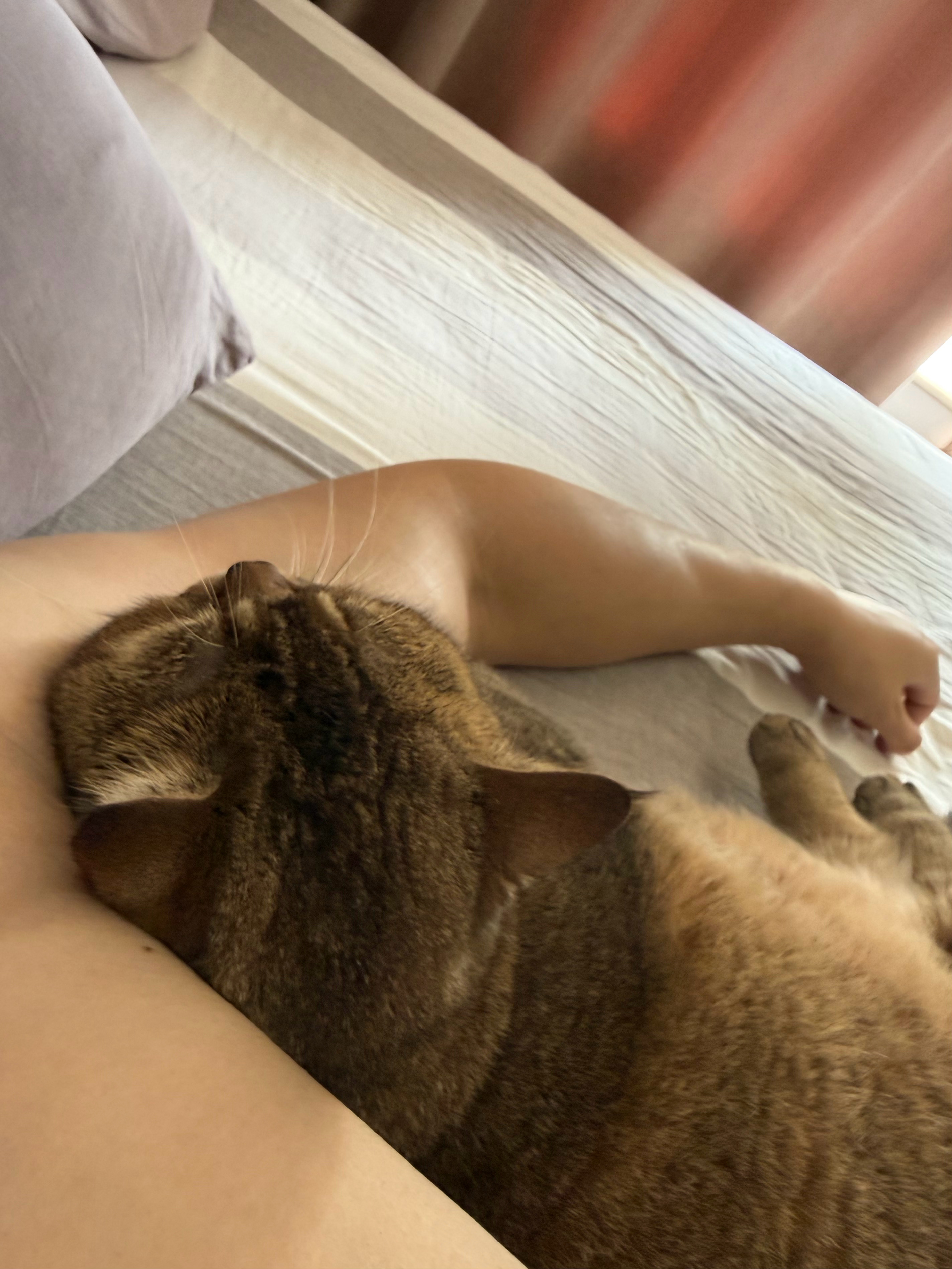 还是家里的床舒服 ​​​
