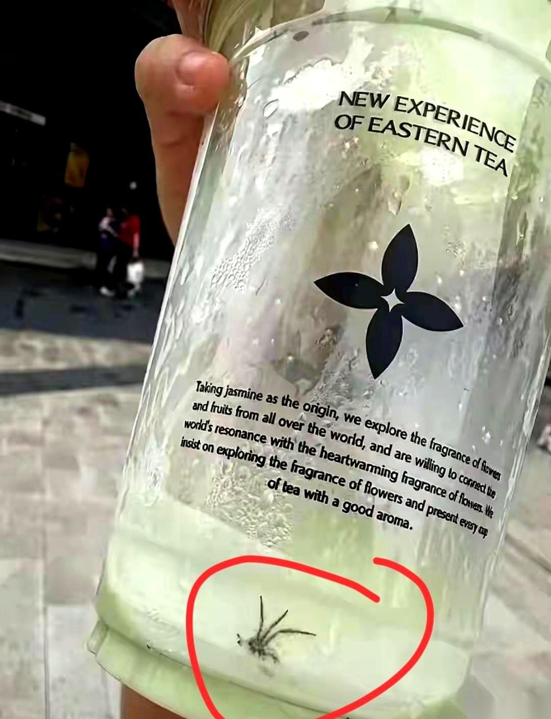 江苏常熟，茉莉奶白凤凰城店。
一杯“开心果茉莉椰”，奶绿色的液体已经下去大半，冰