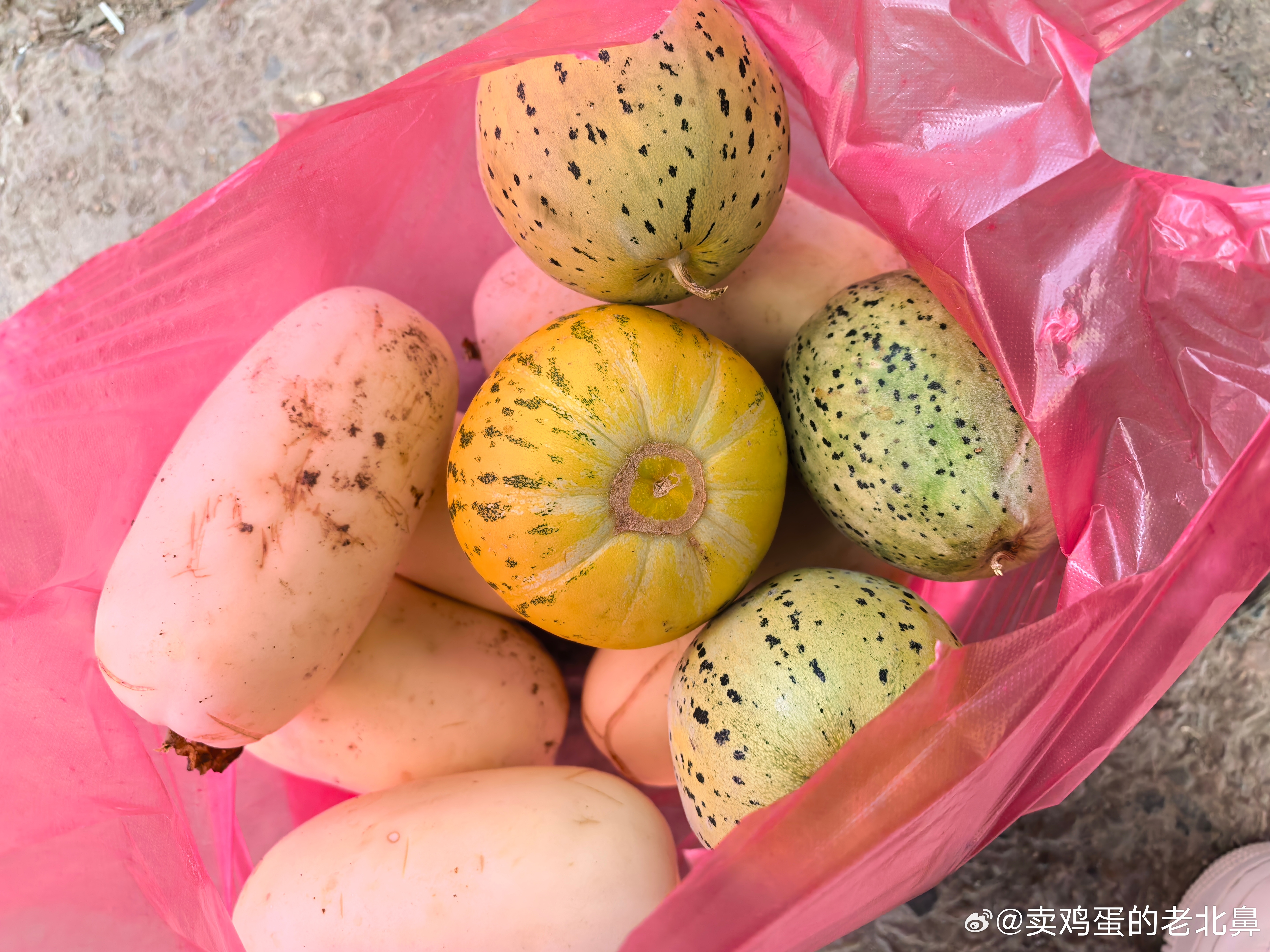 今天赚大发了。10块钱买了一大袋香瓜。 