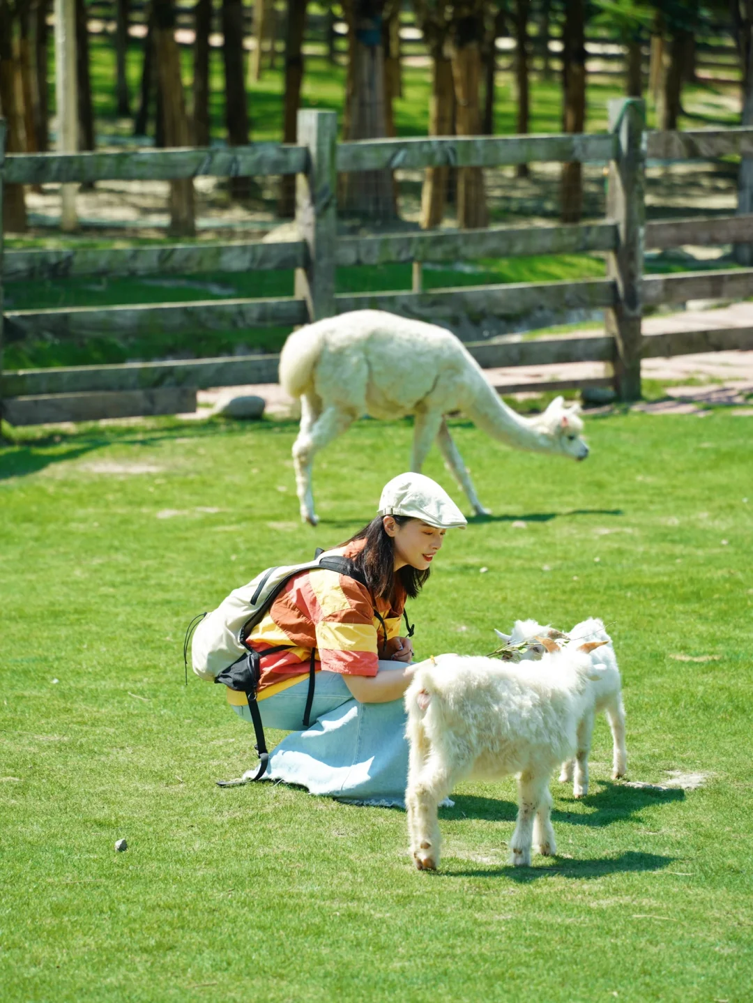 这是我在成都花的最值的一笔钱！！玩了一天
