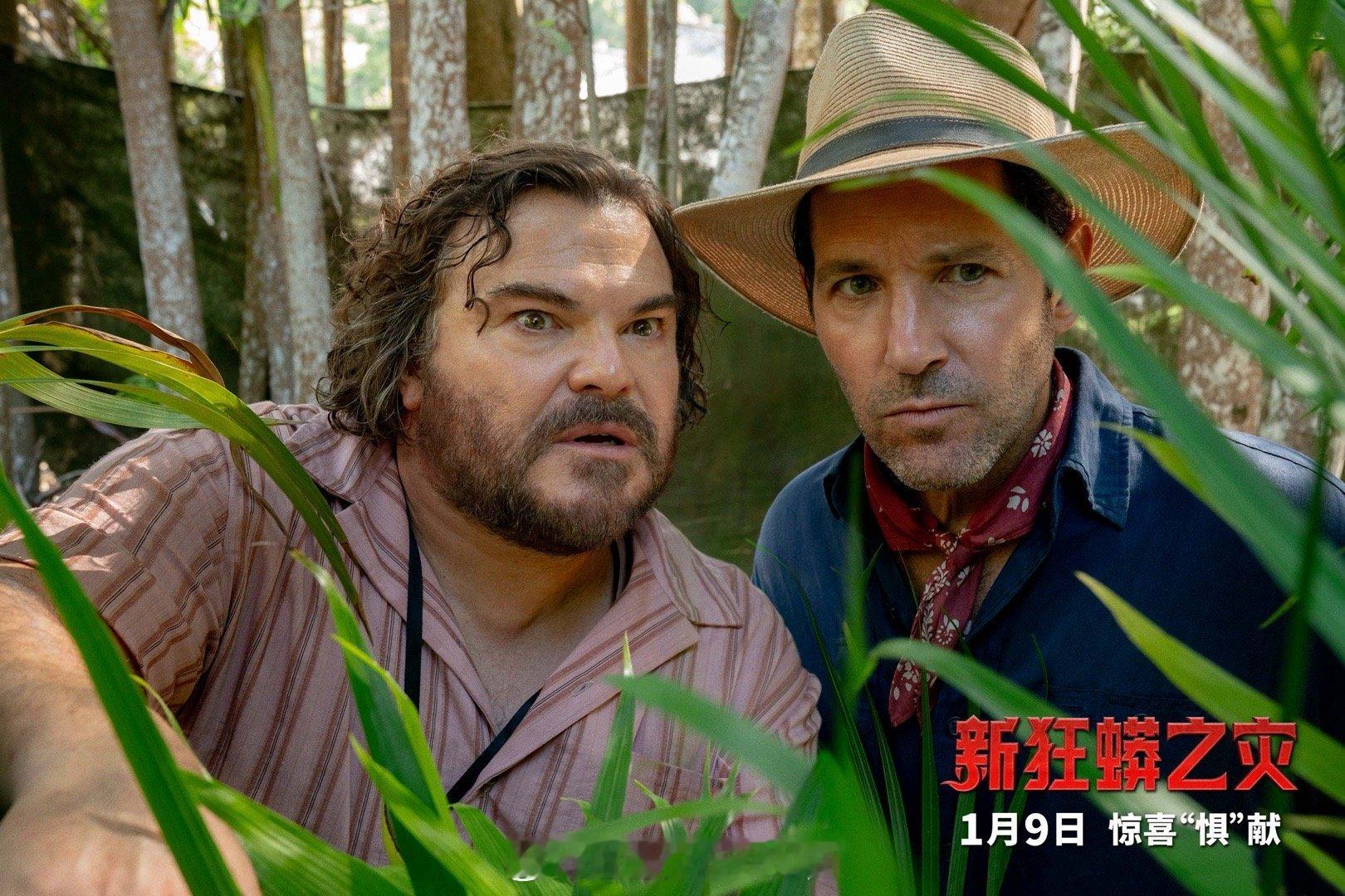 拍蛇片把蛇搞丢的后果 开年解压神器来了！看保罗·路德&杰克·布莱克如何把蛇片拍成