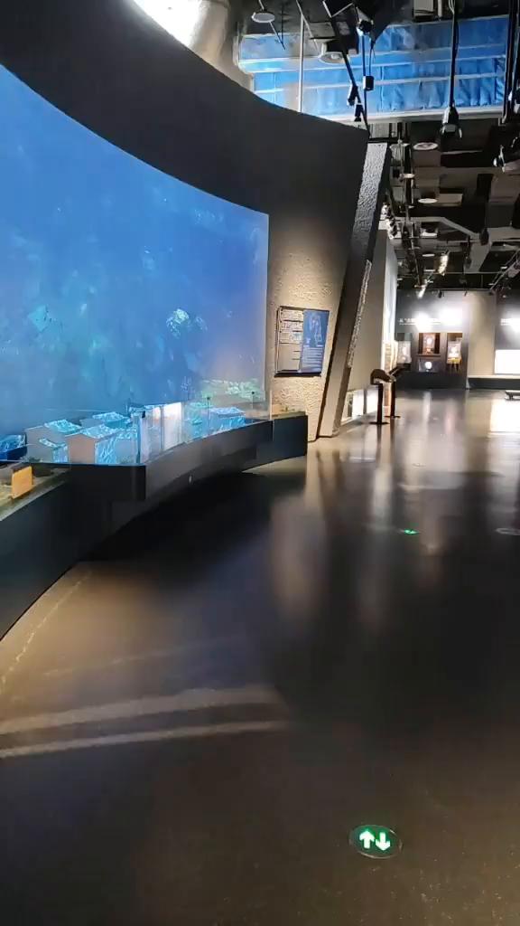 配对成功，预计成功。