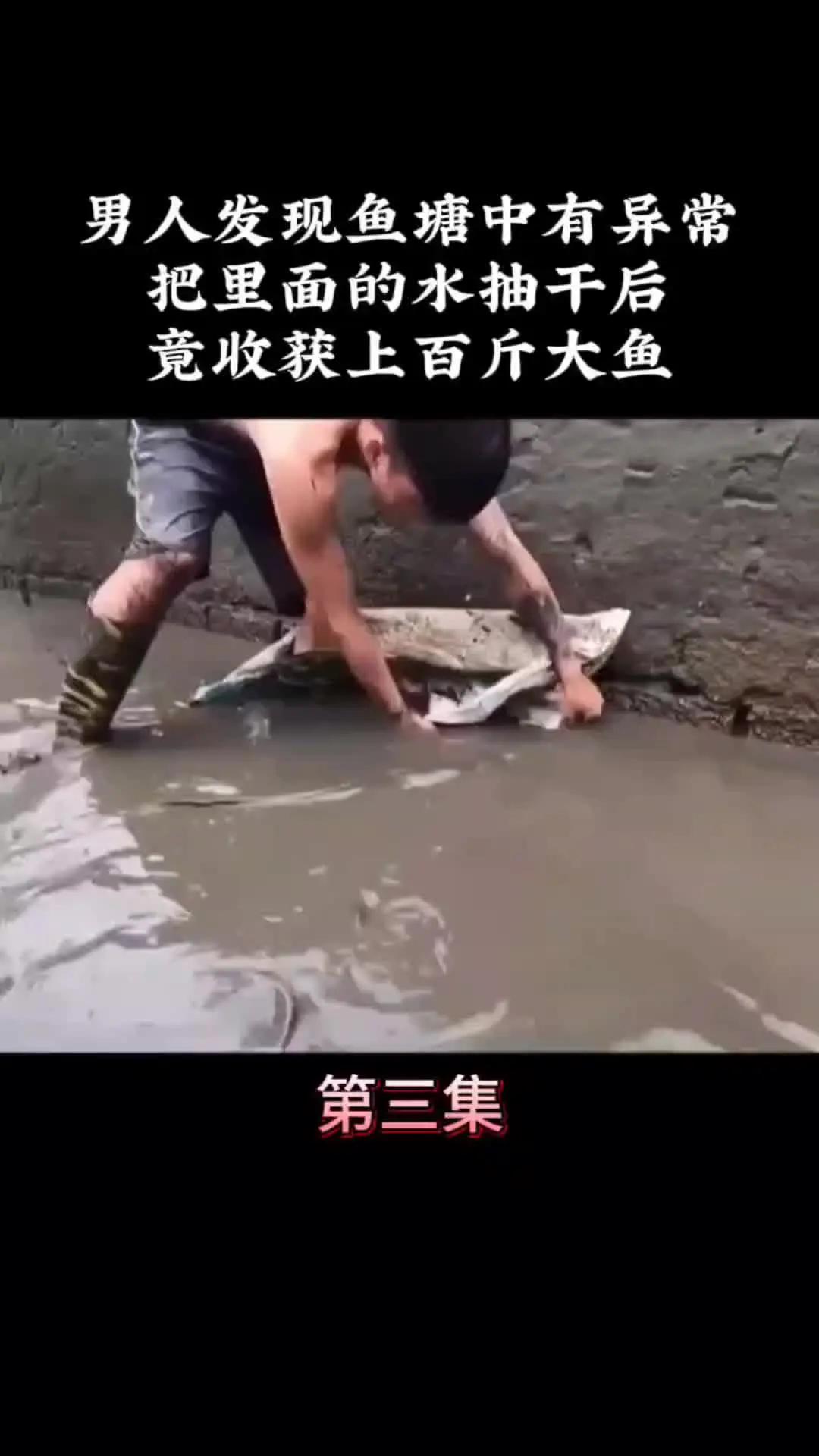 我的观影报告 内容启发搜索