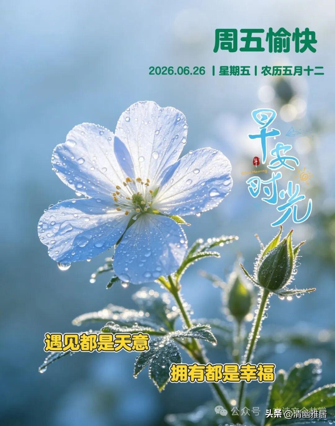 真心话茶局成年人的世界只有利益关系吗？不论是朋友还是亲戚，兄弟姊妹，一说什么事，