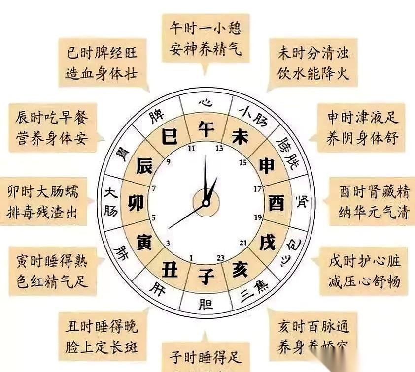 说白了，老祖宗这套东西，就不是让你搁那儿辩论什么唯物唯心的。
那是书呆子干的事儿