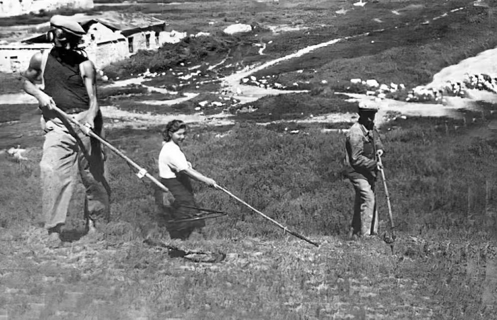 和多数经历过大规模战争国家在战争结束以后通常会留下大量地雷、未发作炮弹等危险品的