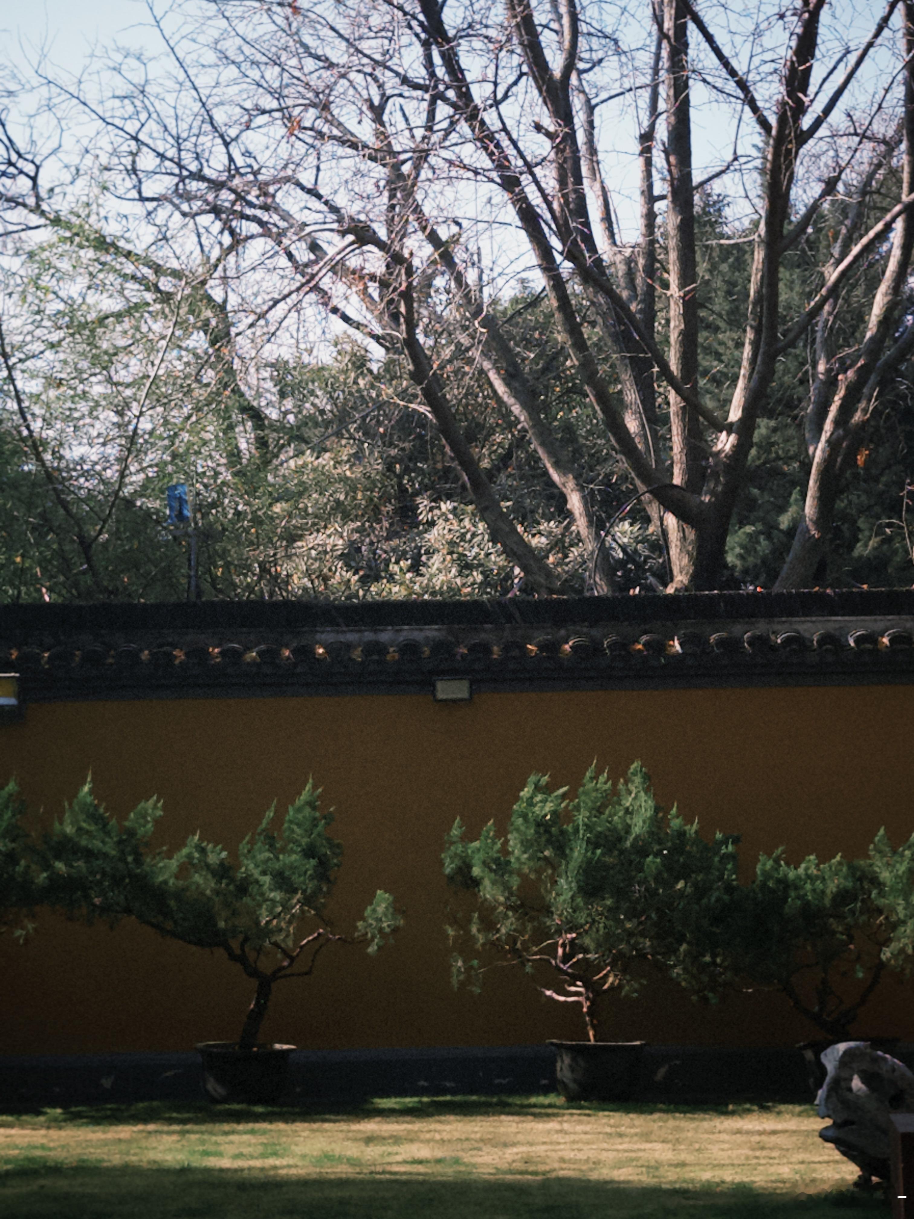 爱马仕橙进货了📿沪币咖啡喝上了，豆都当面磨我的日常plog