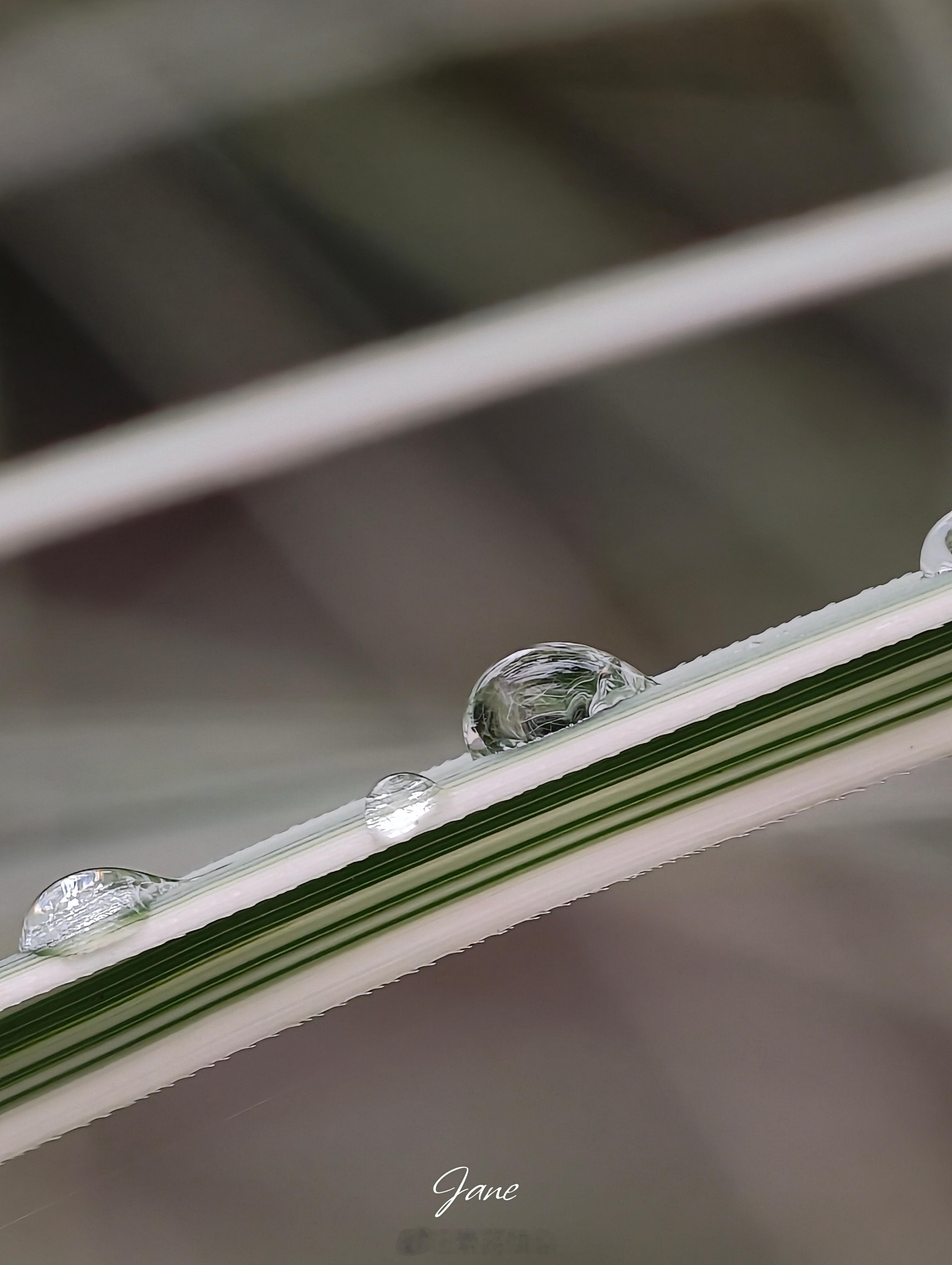雨后