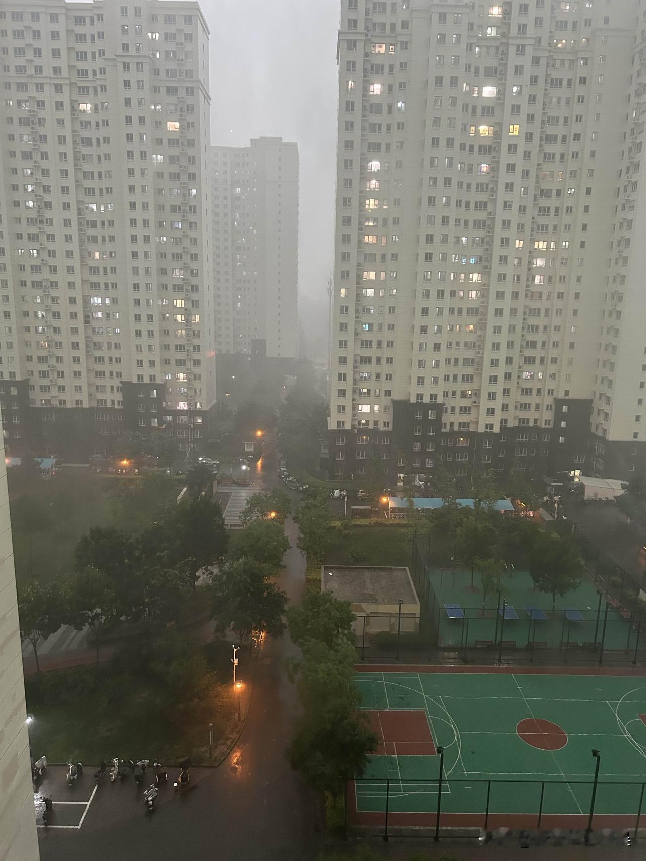 凌晨时分一场大雨悄然而至，酣畅的雨水一扫连日来萦绕周身的闷热气息。推开窗，空气湿