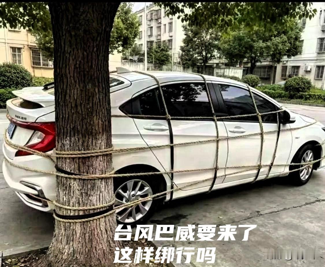 台风巴威要来了，我在上海，把车这样绑能行吗？