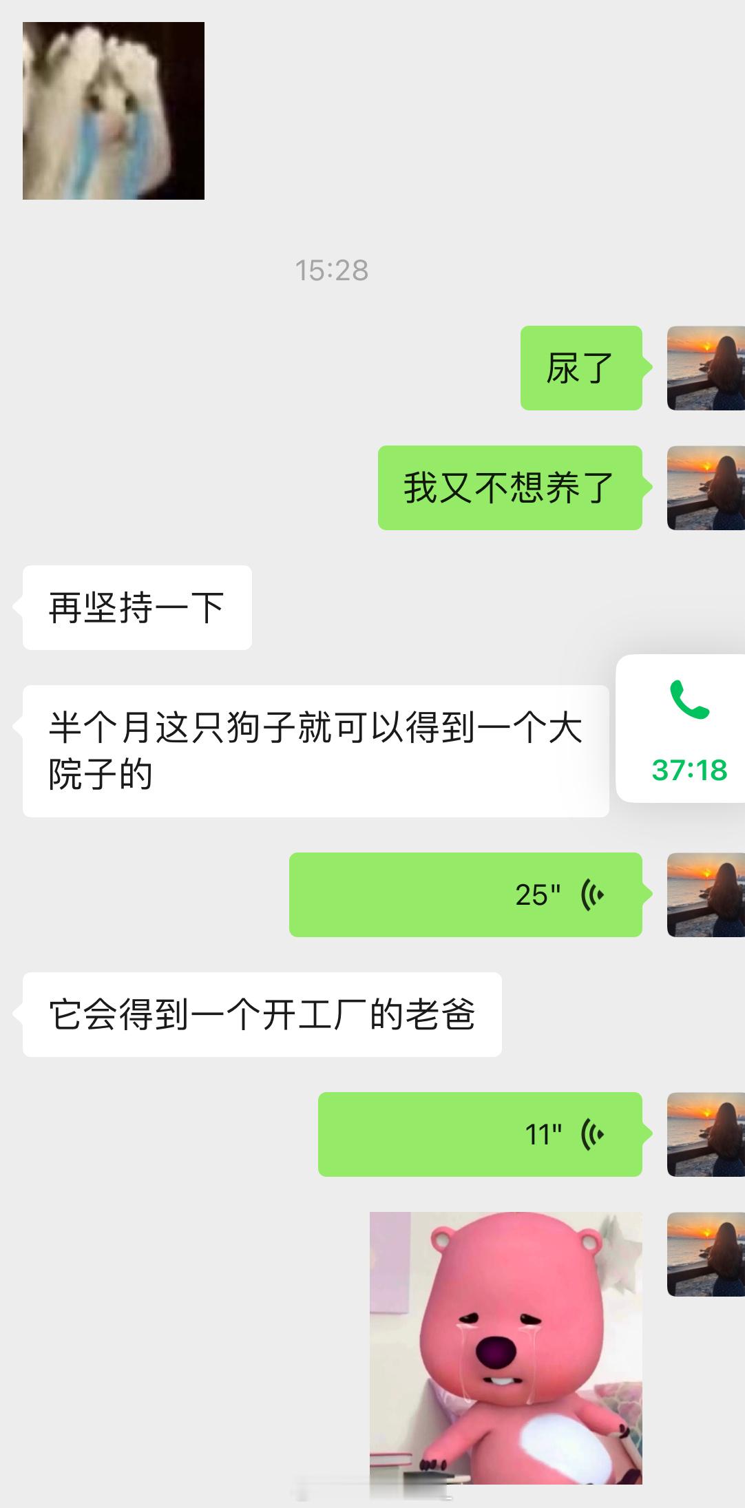 给Amy 找个有钱的爸爸[泪] ​​​