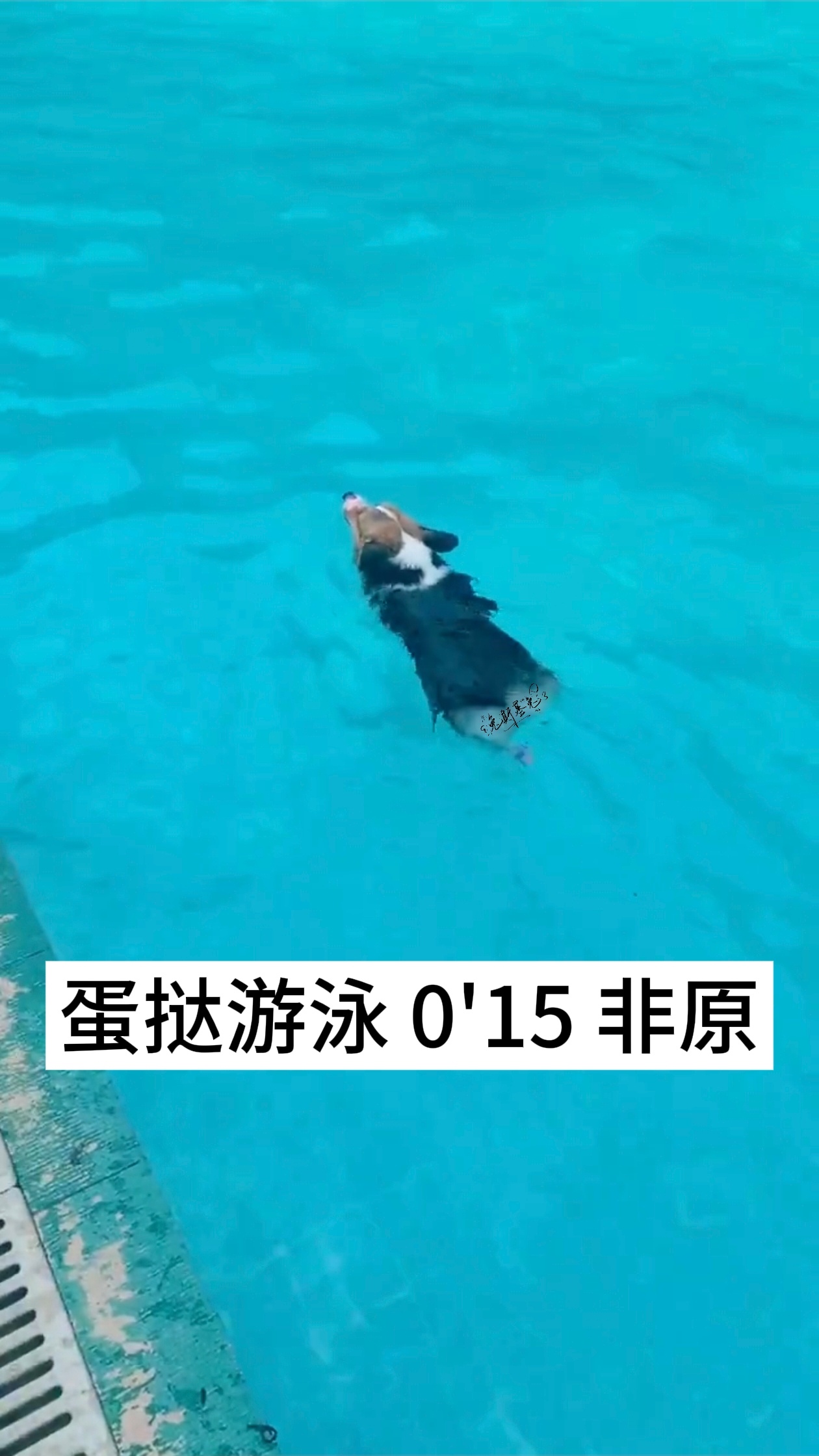 分享图片 