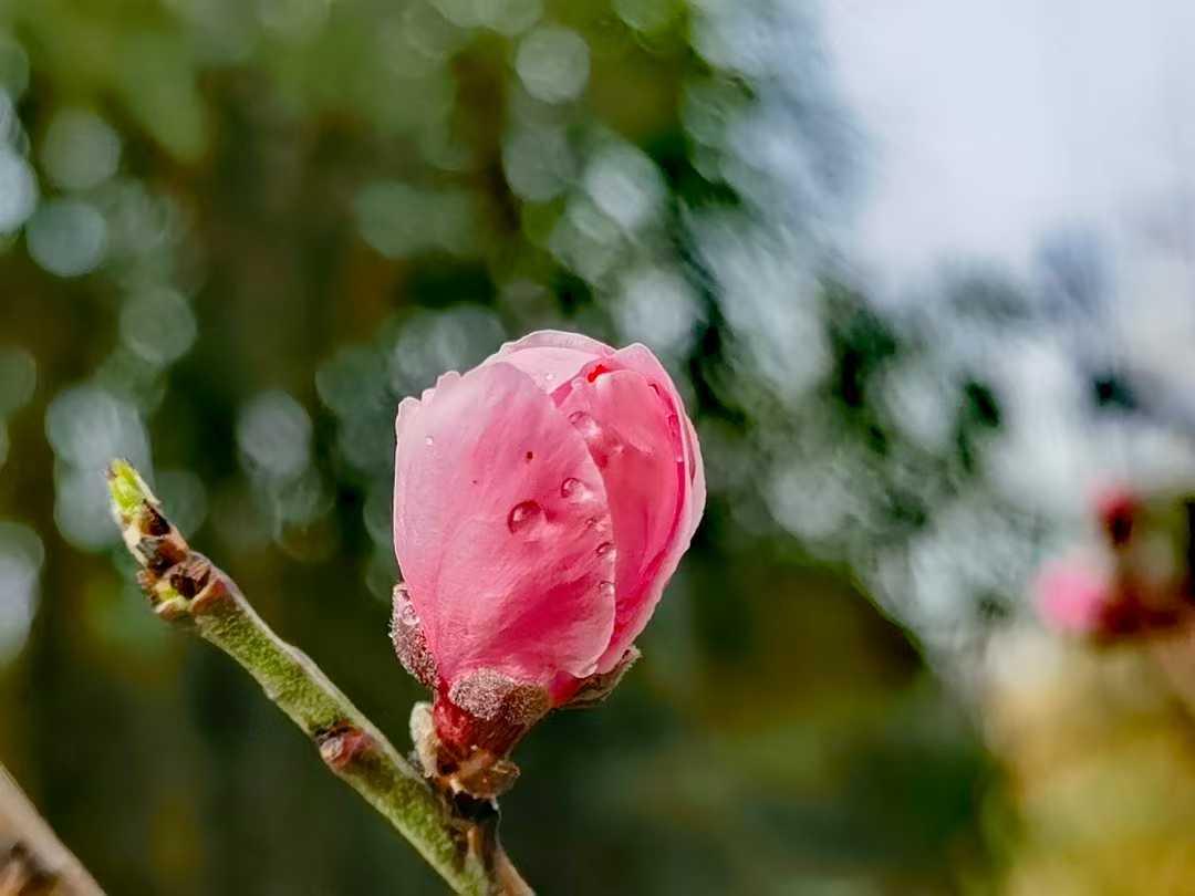 这几日天晴得极好，阳光毫无保留地倾洒而下，可温度却透着丝丝寒意。我向来钟情于热乎