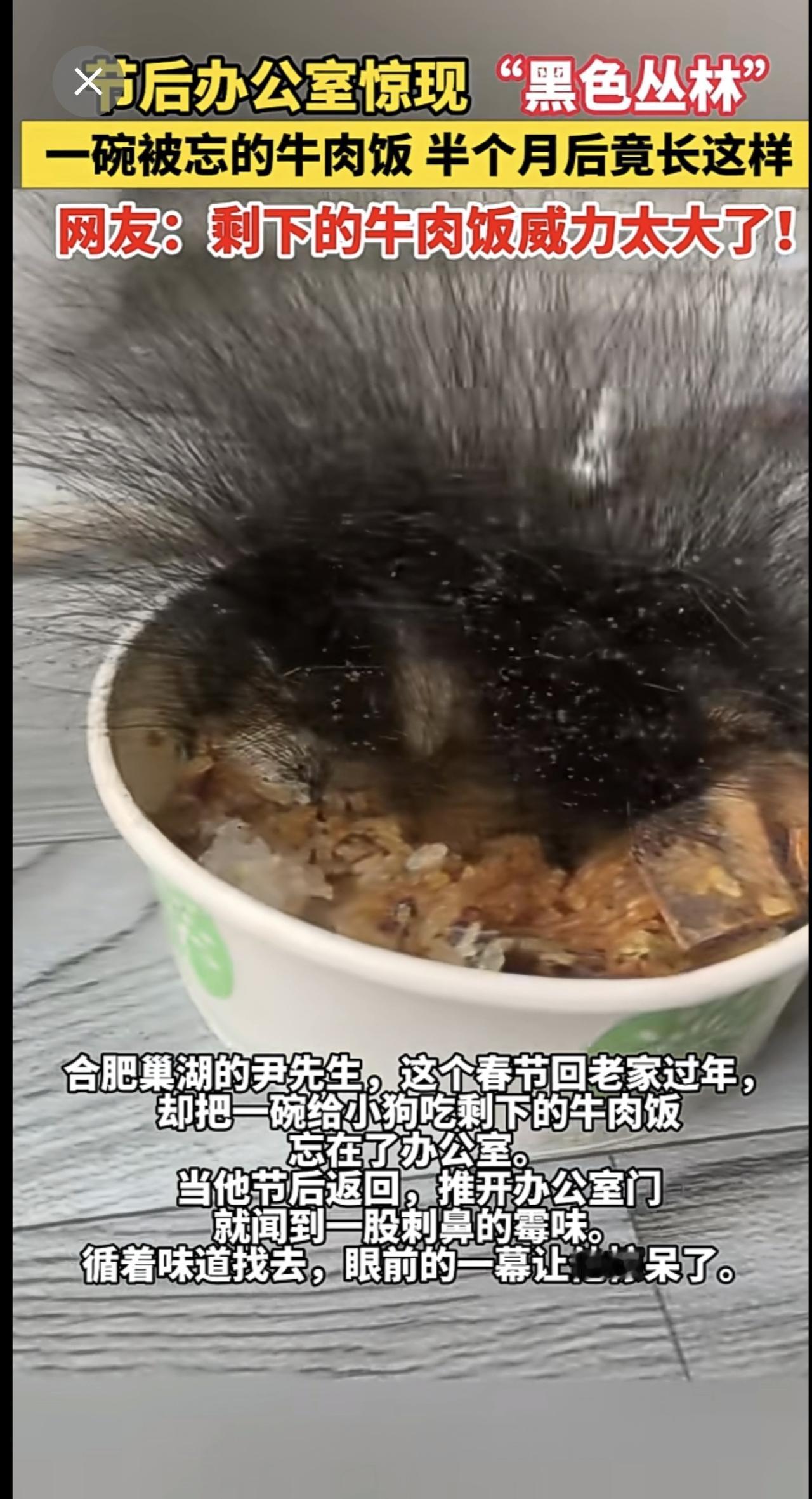 节后办公室惊现“黑色丛林”！
一碗被忘的牛肉饭，半个月后竟长这样
网友：剩下的牛