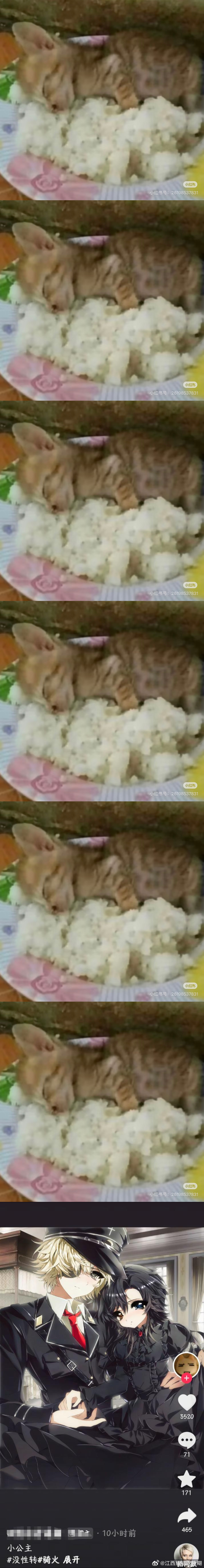 笑点解析：没性转 