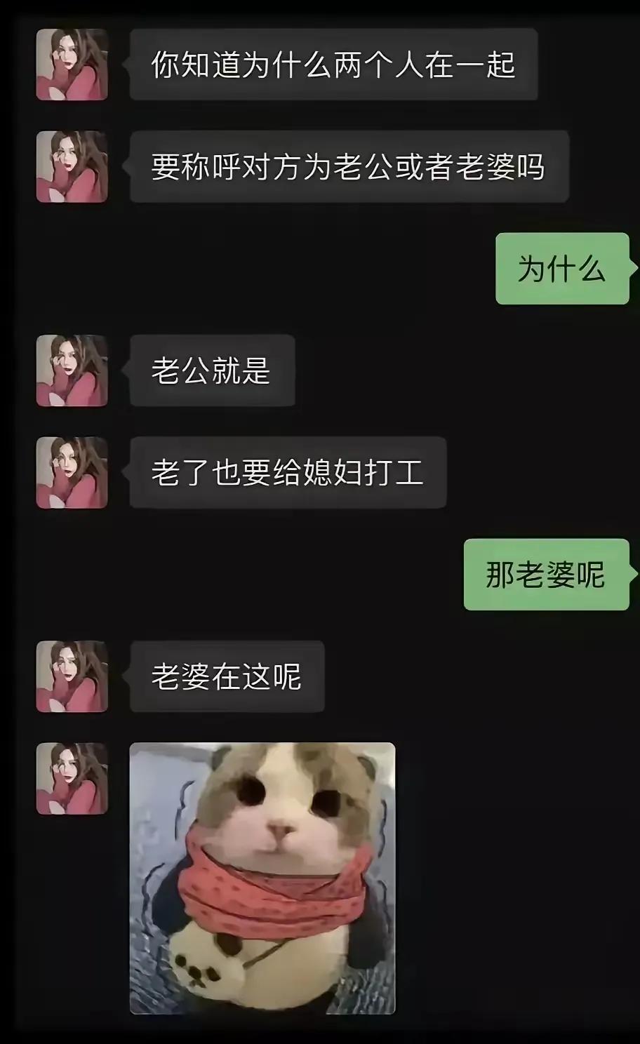 土味情话它出现了[狗头]
