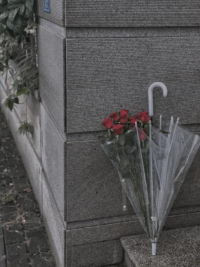 𝑬𝒏𝒋𝒐𝒚 𝒍𝒊𝒇𝒆“开始考虑值不值得的时候，就是不值得。” 