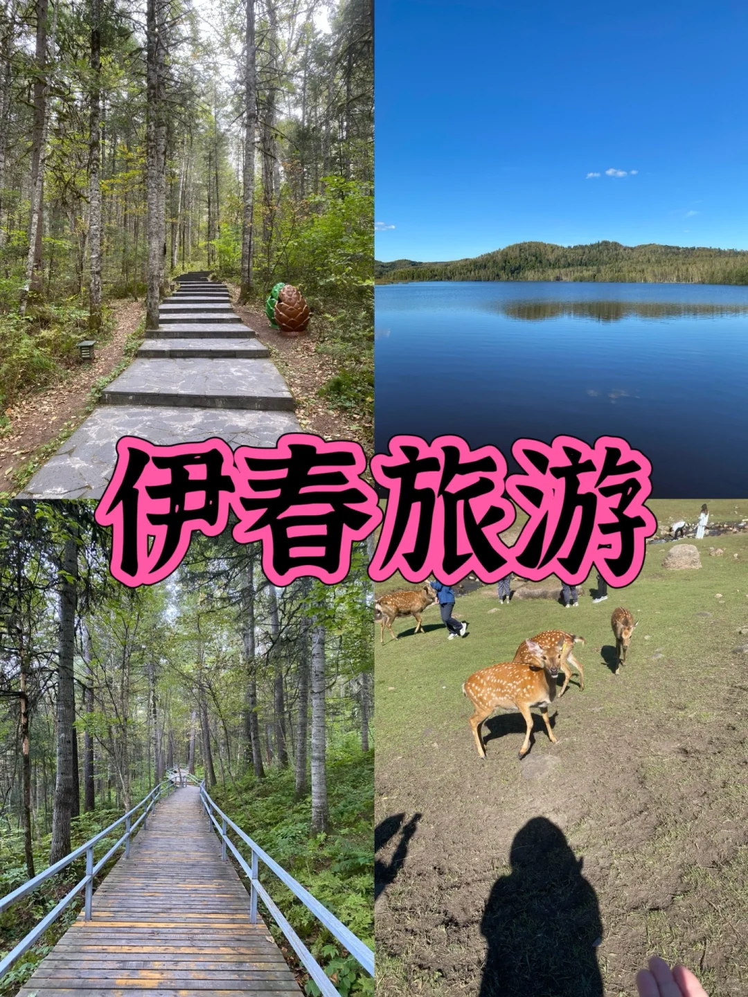 伊春旅游去了汤旺喝和五营