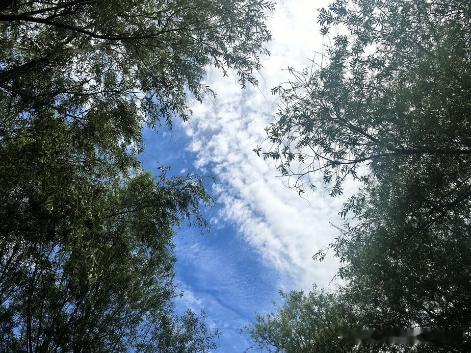 晒图笔记大赛