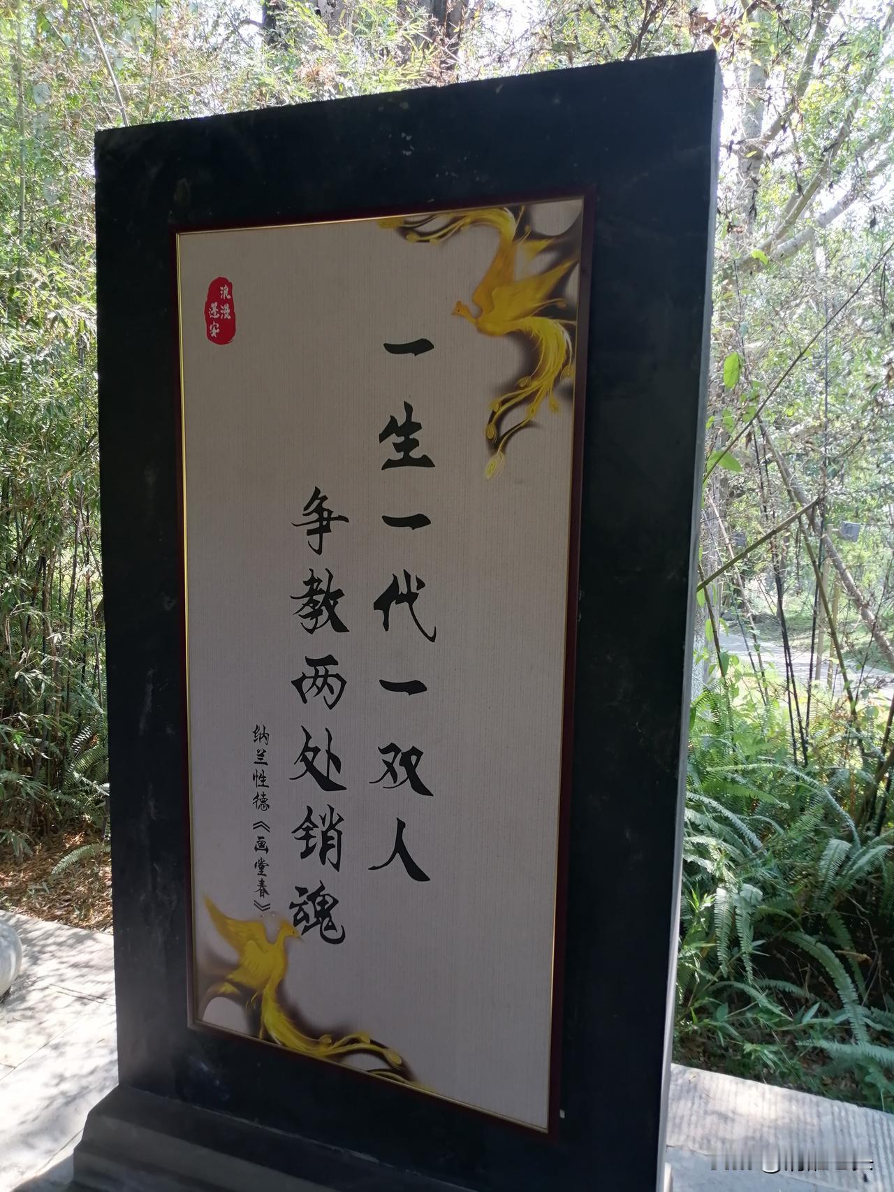 昨天刷到个律师酒后撂的大实话，话糙，理一点不糙。

他说：排除暴力、胁迫、权力压